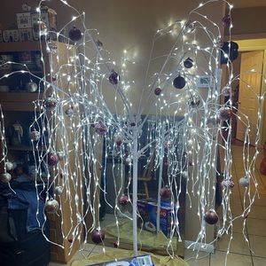 Meet your Posher, Joey